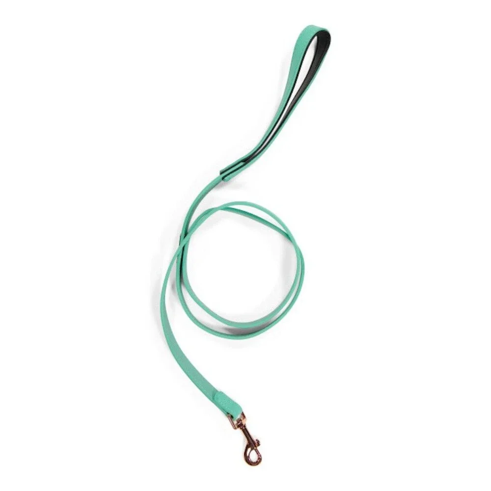 Zippy Paws Leather Vivid Collection Leash